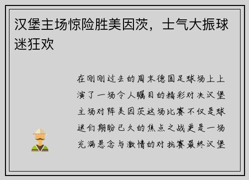 汉堡主场惊险胜美因茨，士气大振球迷狂欢